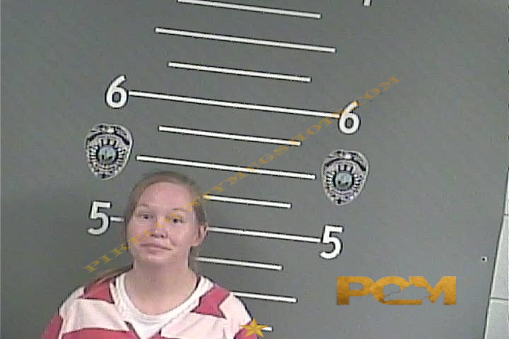 LARA J EZELL booking photo