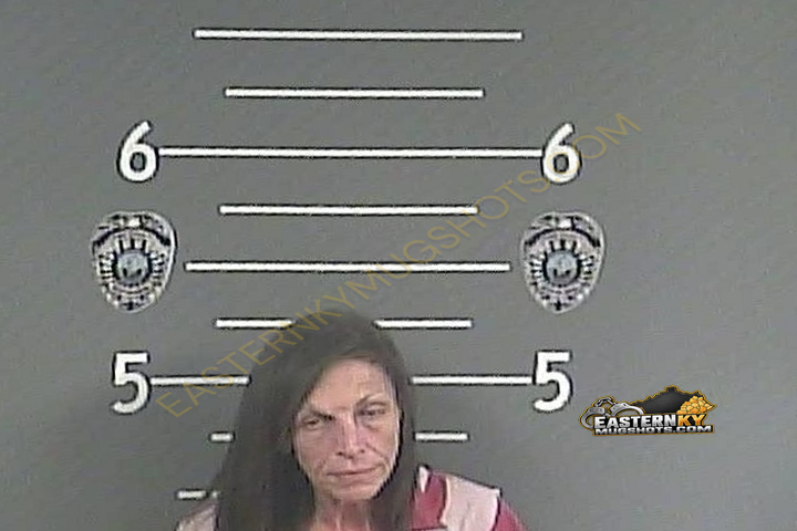 JAYNE A PHILLIPS booking photo