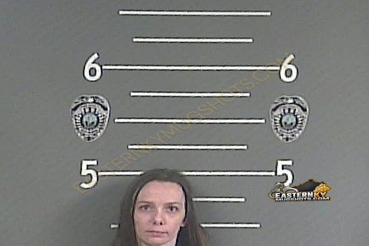 BRIANA H HUNTER booking photo