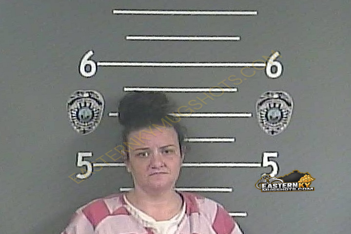 ELIZABETH L BOYCE booking photo