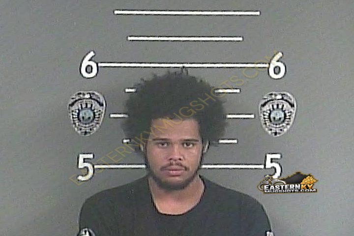JAYDEN D JACKSON booking photo