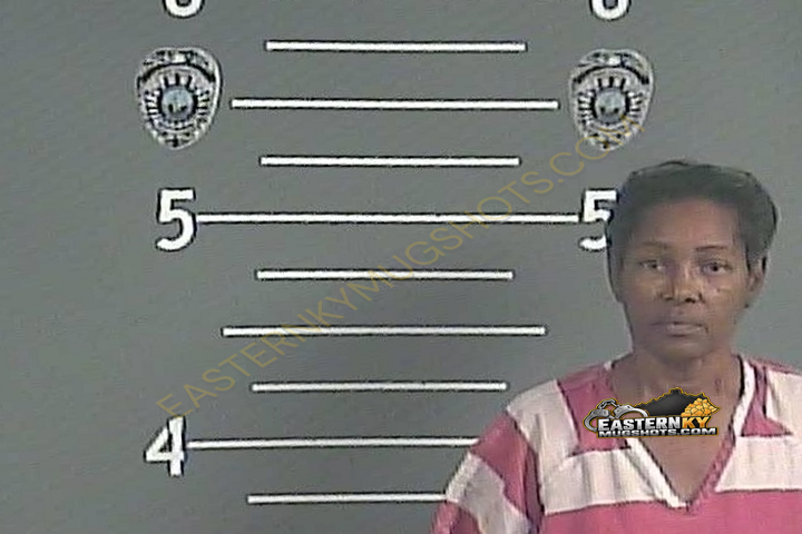 KATHLEEN A DUBOSE booking photo