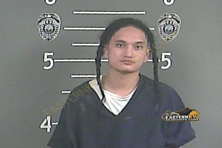 LAWSON LEE BRADLEY booking photo
