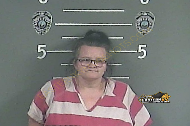 LISA M MAY booking photo