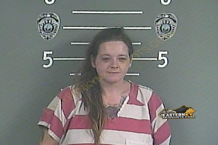 CRYSTAL R COOK booking photo