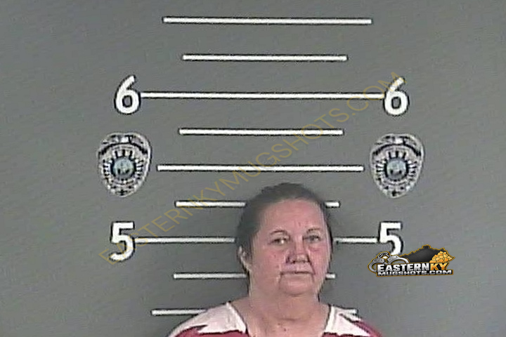 DEDRA A SHEPHERD booking photo
