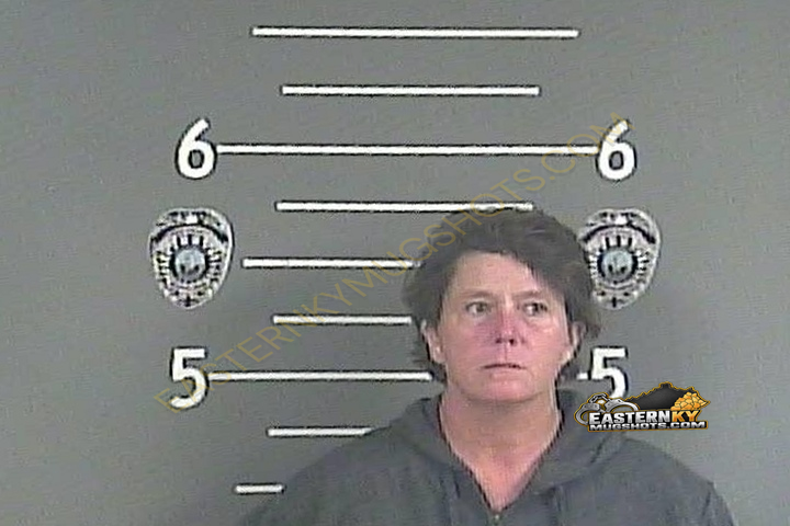 LISA . ROSS booking photo