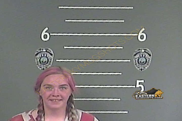 CASANDRA . MILLER booking photo