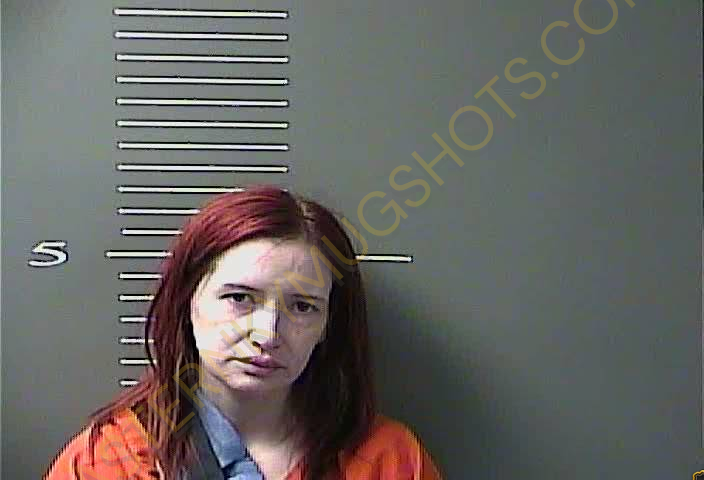 Booking photo