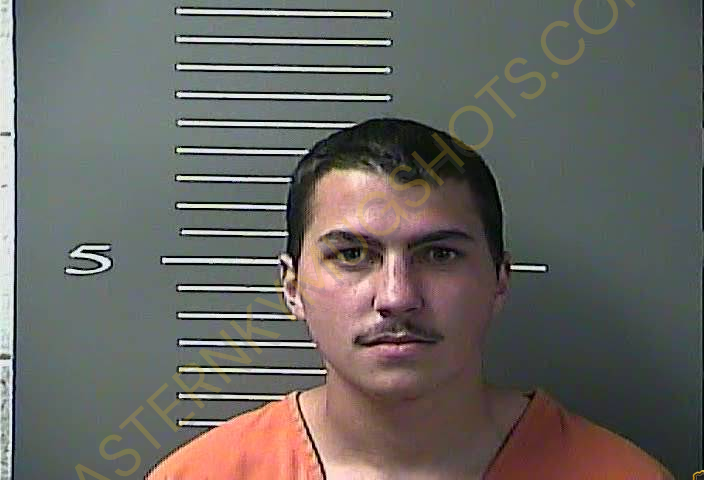 Booking photo