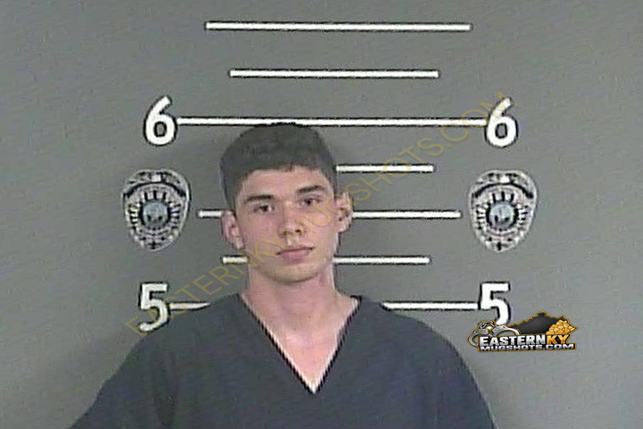 NICHOLAS T MCCRACKEN booking photo
