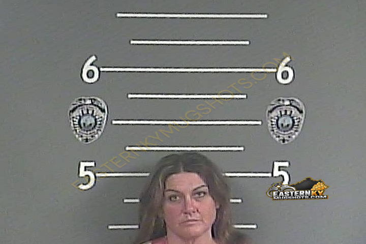 JENNIFER C LITTLE booking photo