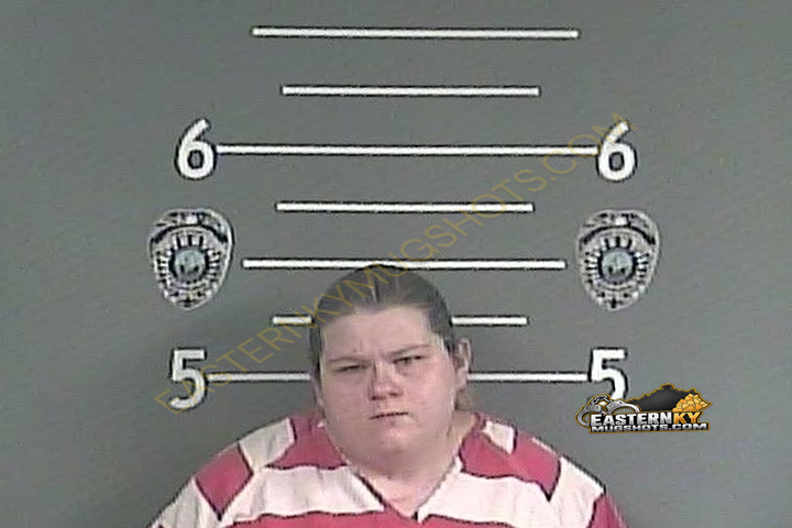 VIRGENA HOLLOWAY-WEST booking photo