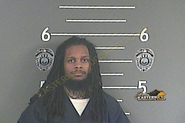 ANTHONY L FORD booking photo