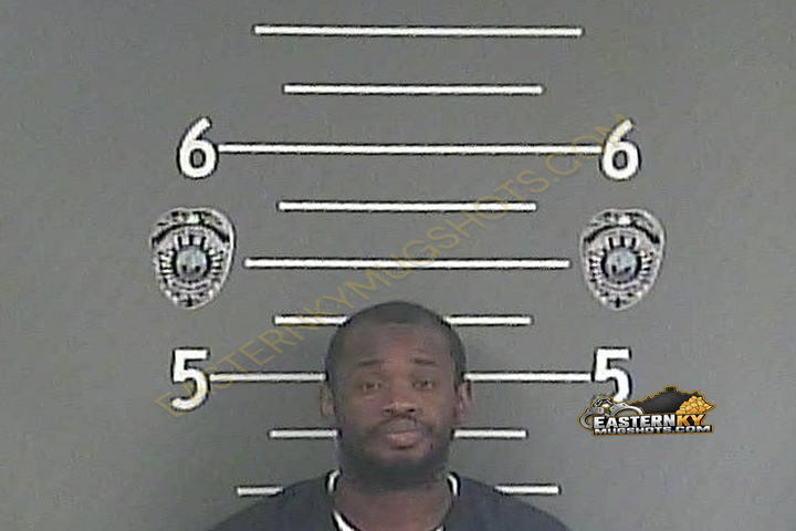 DAMIAN LEE WILLIAMS booking photo