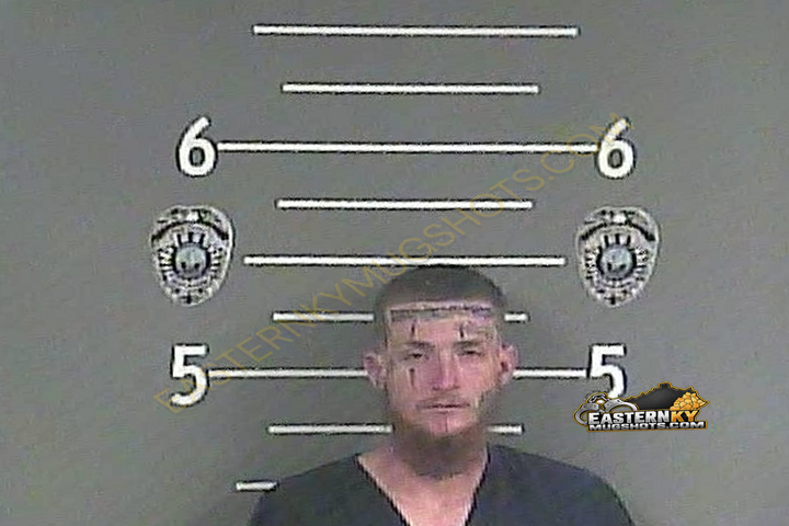 TRYSTEN ALEC PARSLEY booking photo