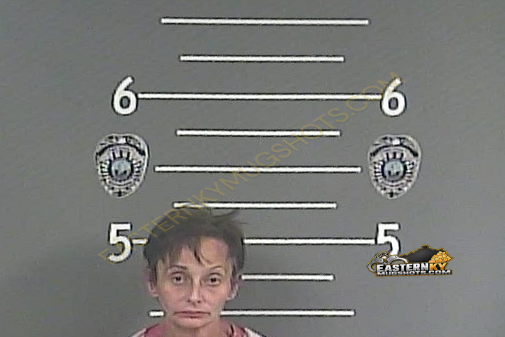 CASEY R. WRIGHT booking photo