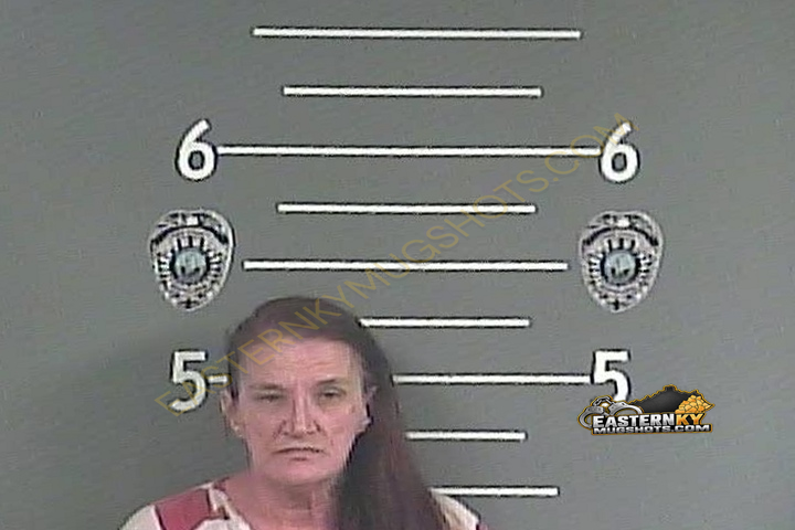 BRONIS F YATES booking photo