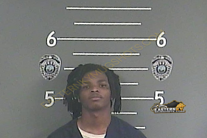 LAURENS JEAN-FRANCOIS booking photo