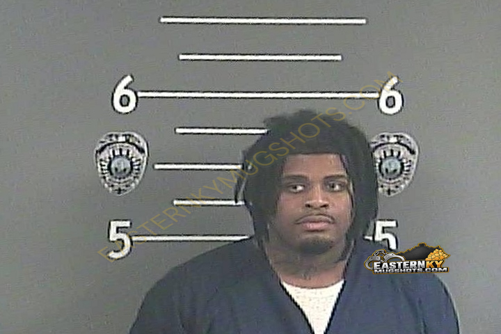 DOMINQUE C DUFF booking photo