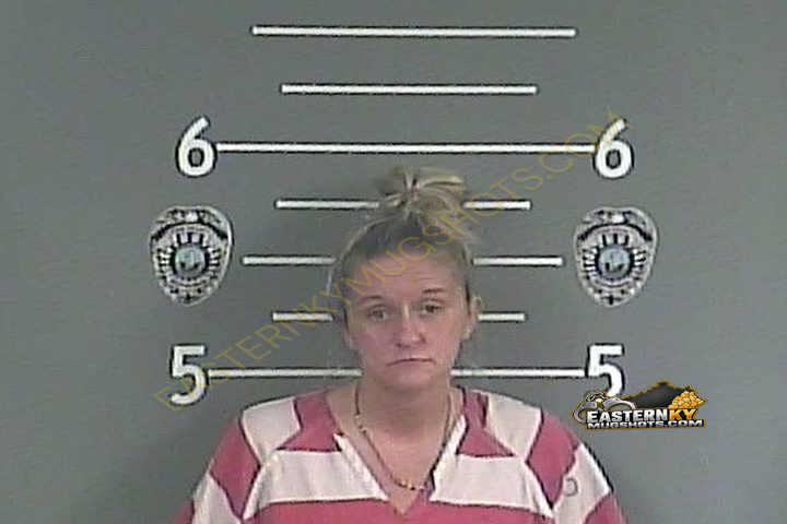 KRISTY L MULLINS booking photo
