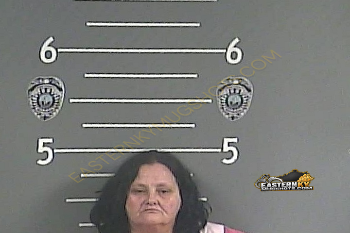 PAMELA S NIECE booking photo