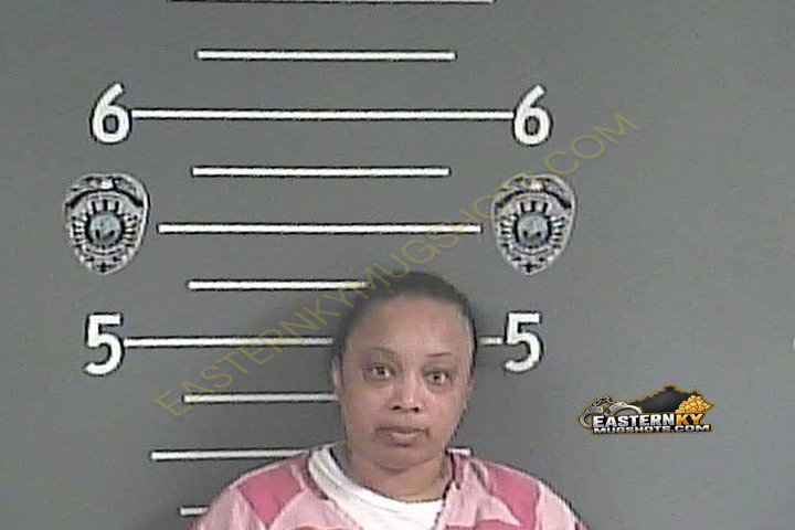 LISA M FARROW booking photo