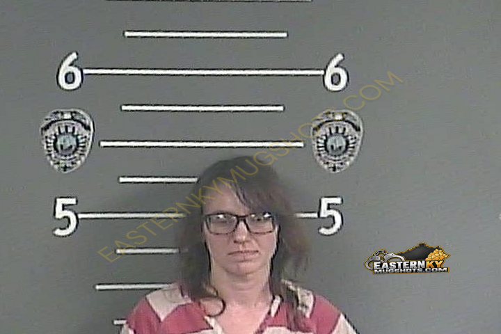 LYNN J BLACKTHORNE booking photo