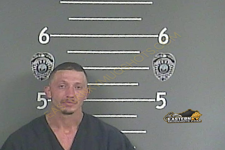 JOSH D MULLINS booking photo