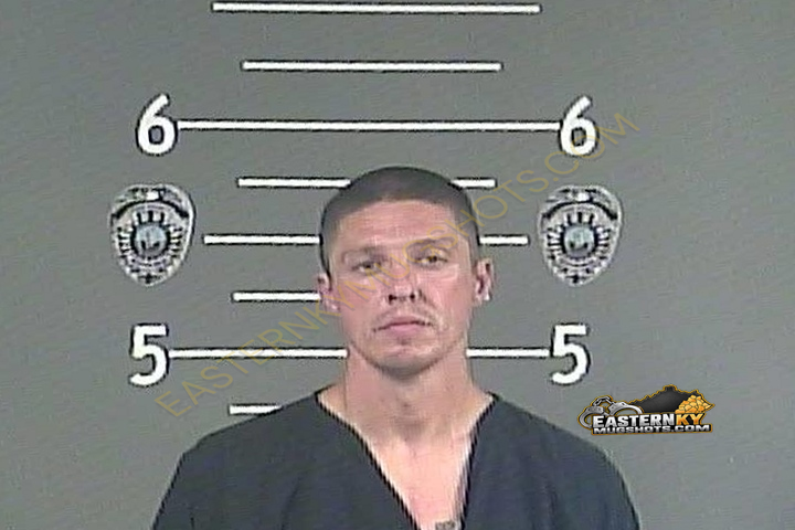 CHADRICK JEREMIAH GIBSON booking photo