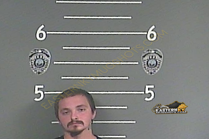 BRIAN K HALL booking photo