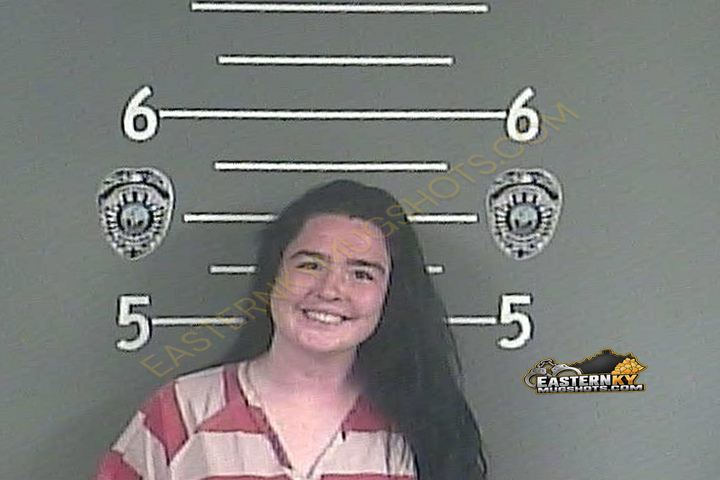 KRISTA . LITTLE booking photo