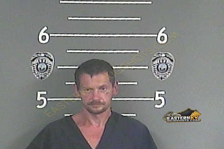 KING D COLLINS booking photo