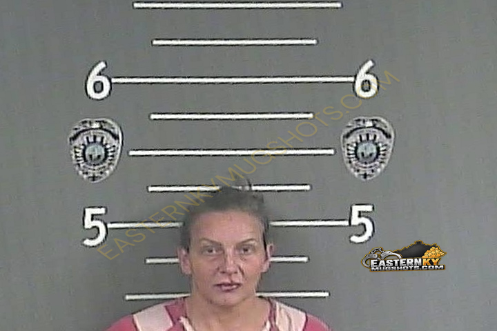 AMY JOLENE FORD booking photo