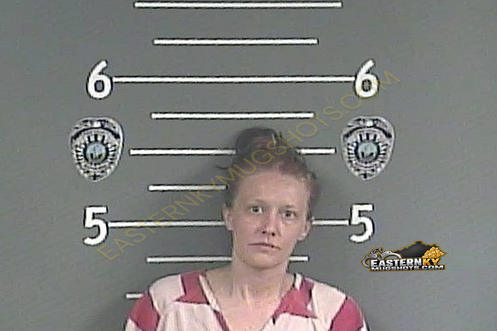 LAKESHA J NEWSOME booking photo