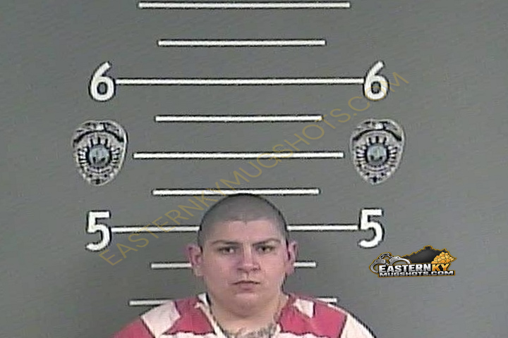 SARAH SUMMERS booking photo