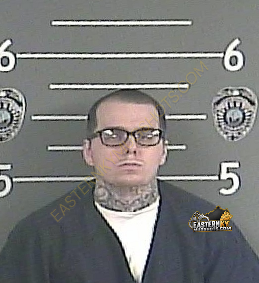 CHASE A WININGS booking photo