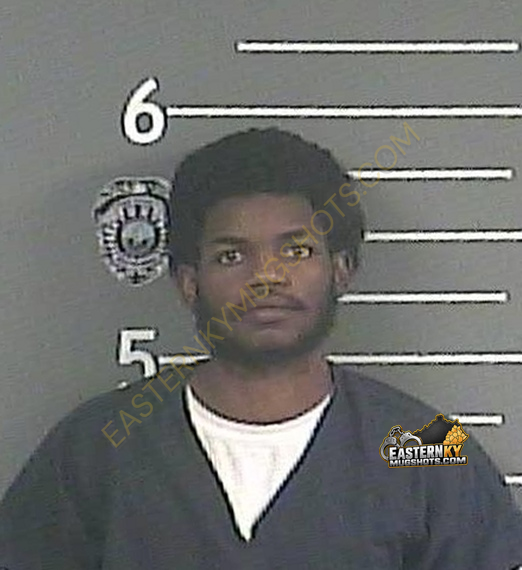 DANTE D TERRY booking photo