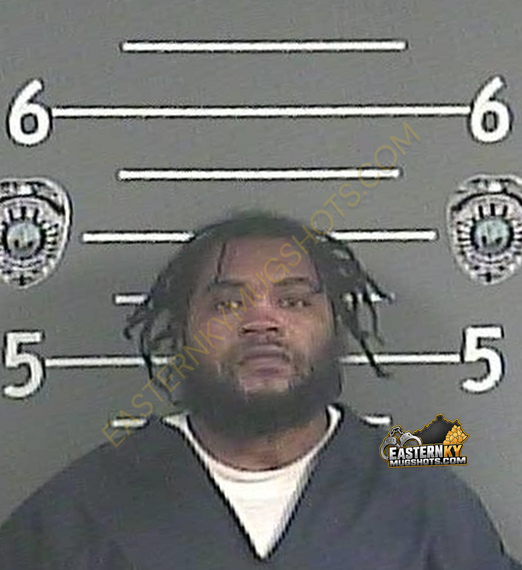 BRYAN T GREEN booking photo