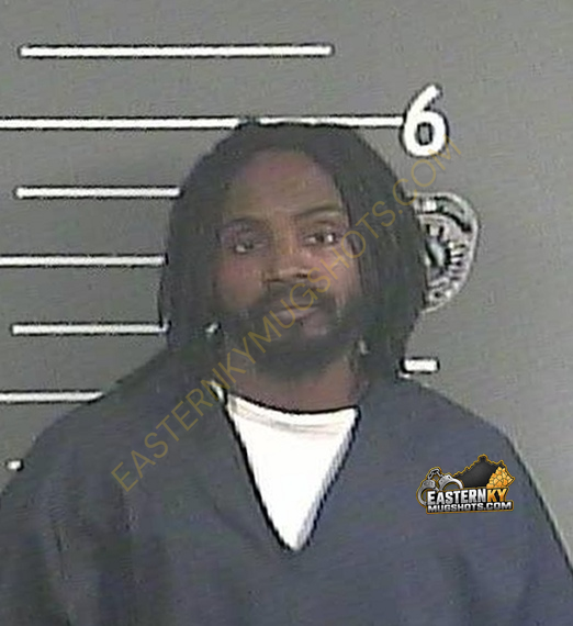 JAY-SI L MILTON booking photo