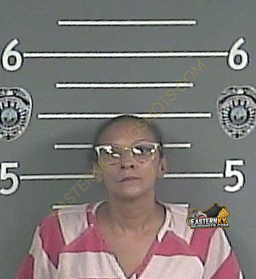 DOMINQUE LEANN WILLIAMS booking photo