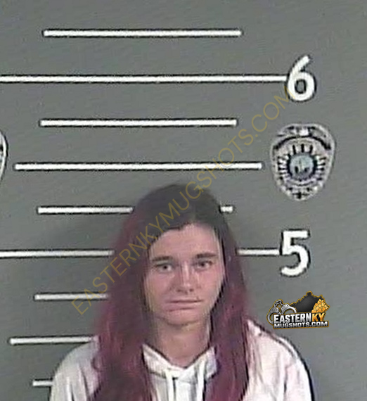 SARA D STUMP booking photo