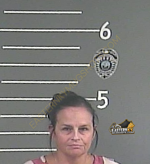 JUANITA F OWENS booking photo