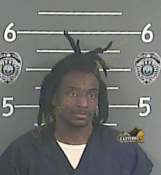 TYKE'EKE M HINES booking photo