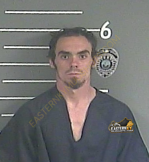 THOMAS A BEVINS booking photo