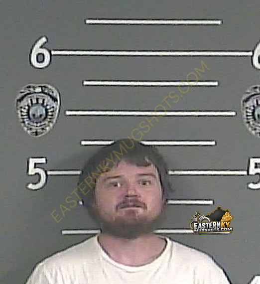 CLYDE E JOHNSON booking photo