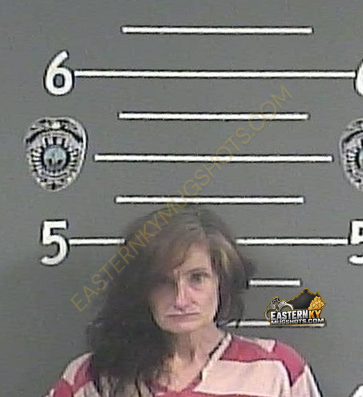 AMANDA L MILLER booking photo