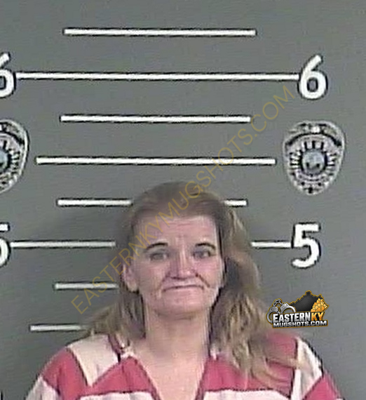 TINA M ADKINS booking photo