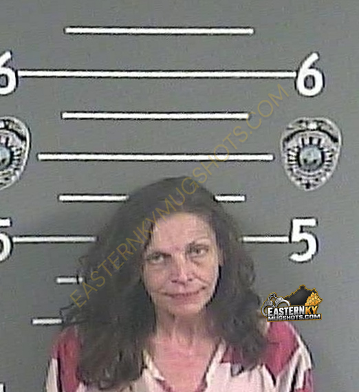 JAYNE A PHILLIPS booking photo