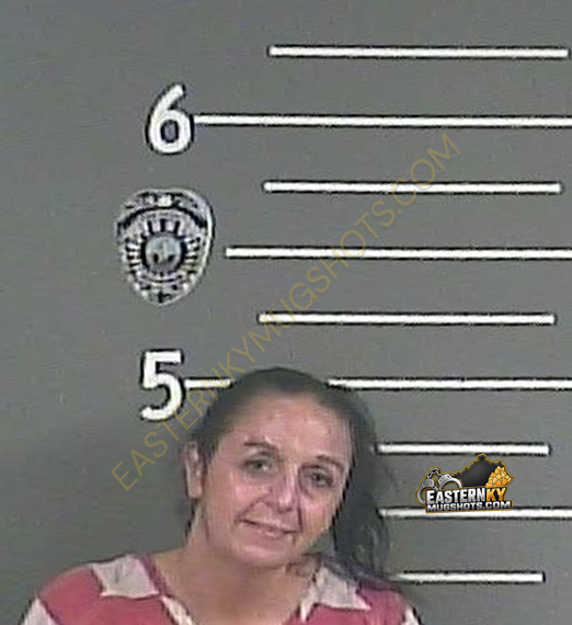 RACHEAL M HAMILTON booking photo